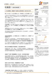 Q2环比显著提速，继续看好产业趋势及头部优势演绎，周边市场大有可为