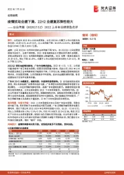 2022上半年业绩预告点评：疫情扰动业绩下滑，22H2业绩复苏弹性较大