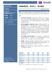 业绩略超预期,灵活用工、海外靓丽