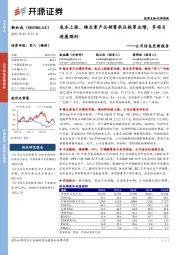 公司信息更新报告：成本上涨、维生素产品销售承压拖累业绩，多项目进展顺利