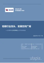 公司深度报告：铝模行业龙头，发展空间广阔