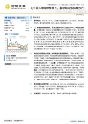 Q2收入维持较快增长，新材料业务陆续投产