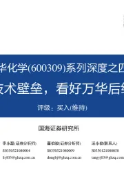 系列深度之四:多线研发打造技术壁垒,看好万华后续技术专利储备