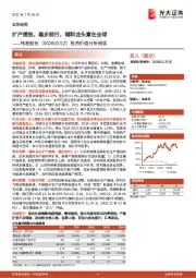 投资价值分析报告：扩产提效、稳步前行，辅料龙头意在全球