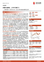 2022年半年度业绩预亏点评:多重冲击影响,上半年亏损扩大