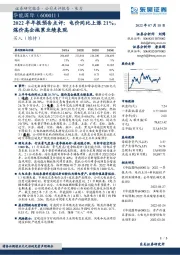 2022半年报预告点评:电价同比上涨21%,煤价高企拖累业绩表现