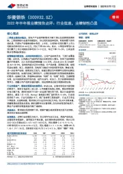 2022年半年报业绩预告点评：行业低迷，业绩韧性凸显