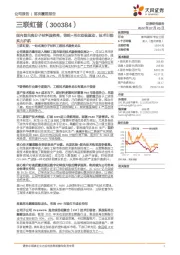 国内领先高分子材料服务商，锦纶+再生双极驱动，技术引领实力护航