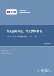 公司点评报告：激励顺利推进，助力高端转型