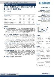 2022H1业绩预告点评:2022Q2盈利持续修复,ABC产能逐渐落地