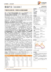 不惧扰动全面布局,资源龙头有望实现修复