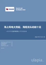 公司深度报告：海上风电大势起，海缆龙头动能十足