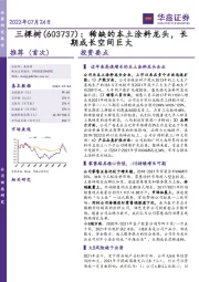 稀缺的本土涂料龙头，长期成长空间巨大