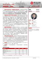 深度报告:碳基新贵的“三段击”