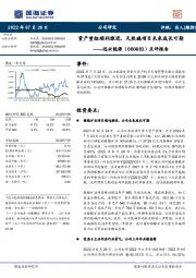 点评报告：资产重组顺利推进，天然碱项目未来成长可期