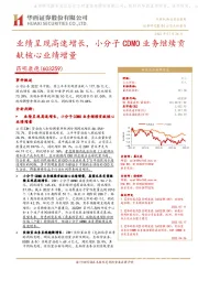 业绩呈现高速增长,小分子CDMO业务继续贡献核心业绩增量