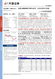 公司信息更新报告:全氮化镓旗舰系列新品发布,充电品类历久弥新