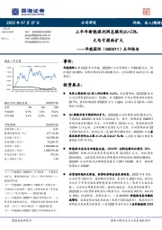 点评报告:上半年新能源利润总额同比+23%,火电亏损面扩大