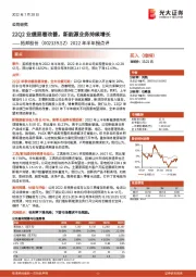 2022年半年报点评：22Q2业绩显著改善，新能源业务持续增长