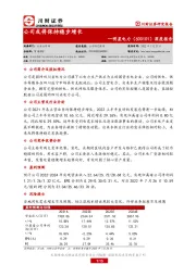 深度报告：公司或将保持稳步增长