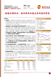 短期业绩承压，看好高附加值业务的盈利恢复
