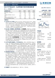 2022年中报点评：毛利率提升促净利保持高增