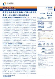 数字经济业务东风再起，光储业务方兴未艾—用电侧发电侧双料强者