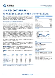 Q2单季度业绩新高，继续看好公司磷氟锂一体化布局下中长期成长性