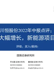 川恒股份2022年中报点评:营收利润大幅增长,新能源项目投产在即