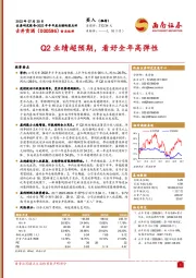 Q2业绩超预期，看好全年高弹性