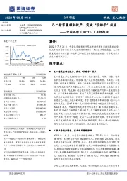 点评报告:己二腈装置顺利投产,突破“卡脖子”技术