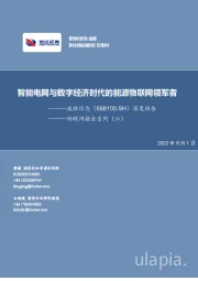 物联网掘金系列(六):深度报告-智能电网与数字经济时代的能源物联网领军者