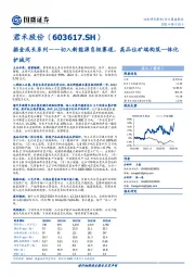 掘金成长系列——切入新能源负极赛道，高品位矿端构筑一体化护城河