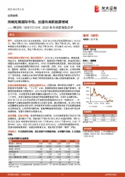 2022年半年度报告点评：持续拓展国际市场，加速布局新能源领域