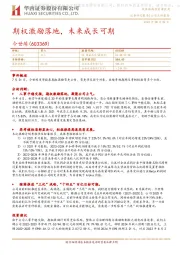 期权激励落地，未来成长可期