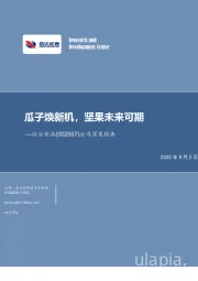 公司深度报告:瓜子焕新机,坚果未来可期