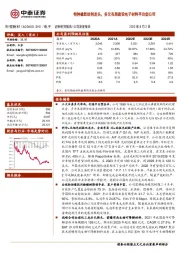 特种橡胶助剂龙头，多元布局建设电子材料平台型公司