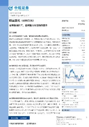 定增加速扩产，盈利能力有望持续提升