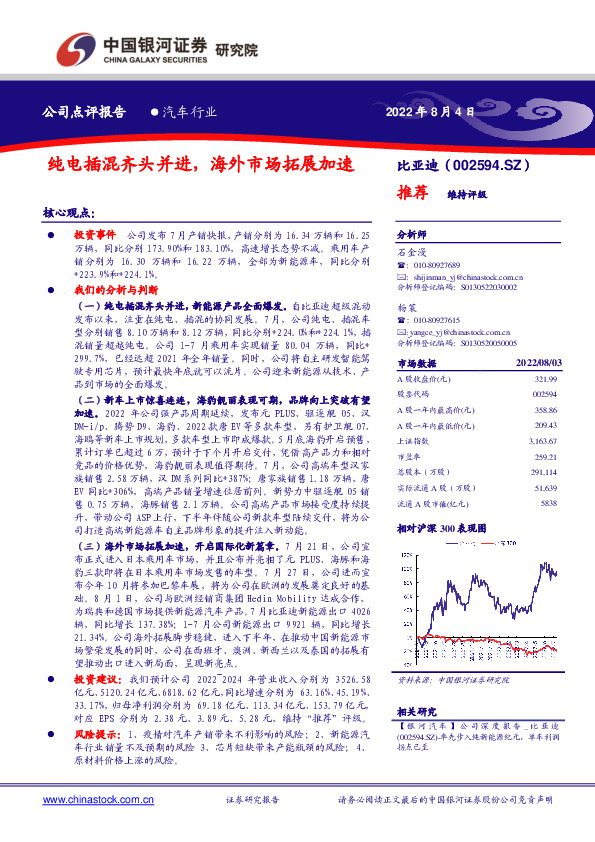 纯电插混齐头并进，海外市场拓展加速