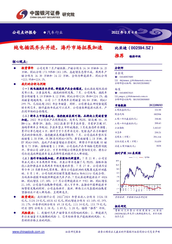 纯电插混齐头并进，海外市场拓展加速