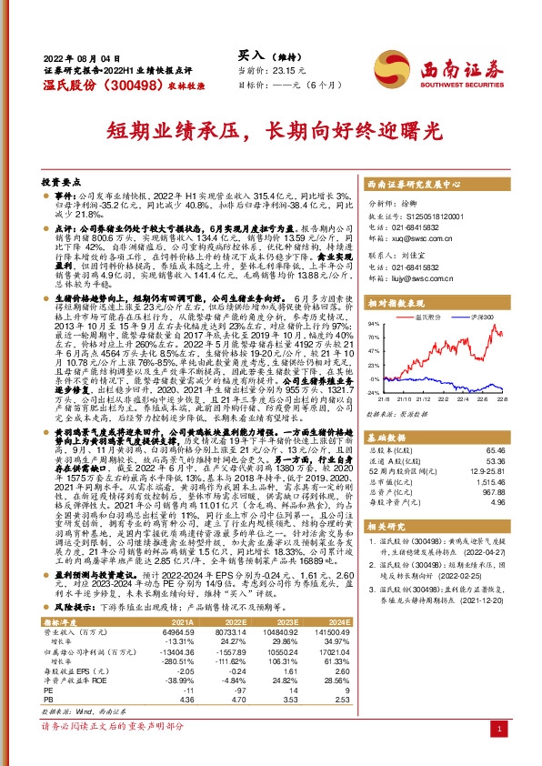 短期业绩承压，长期向好终迎曙光