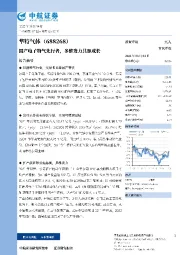 国产电子特气先行者,多维发力共驱成长