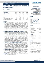 海风低开工率致Q2量利下滑,平价过渡期毛利率符合预期