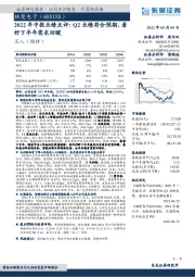 2022年中报业绩点评：Q2业绩符合预期，看好下半年需求回暖