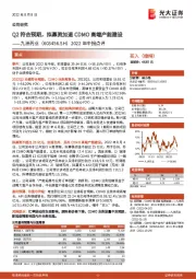 2022年中报点评:Q2符合预期,拟募资加速CDMO高端产能建设