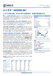 上半年业绩平稳,伴生矿项目进展顺利,强势进军提锂业务