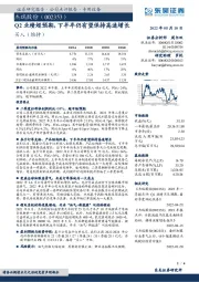 Q2业绩超预期，下半年仍有望保持高速增长