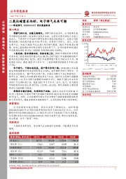 首次覆盖报告:二氧化碳需求向好、电子特气未来可期