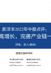 新洋丰2022年中报点评:业绩持续高增长,完善产业链一体化布局