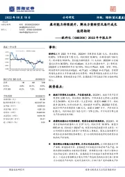 2022年中报点评：盈利能力持续提升，解决方案转型及海外成长值得期待